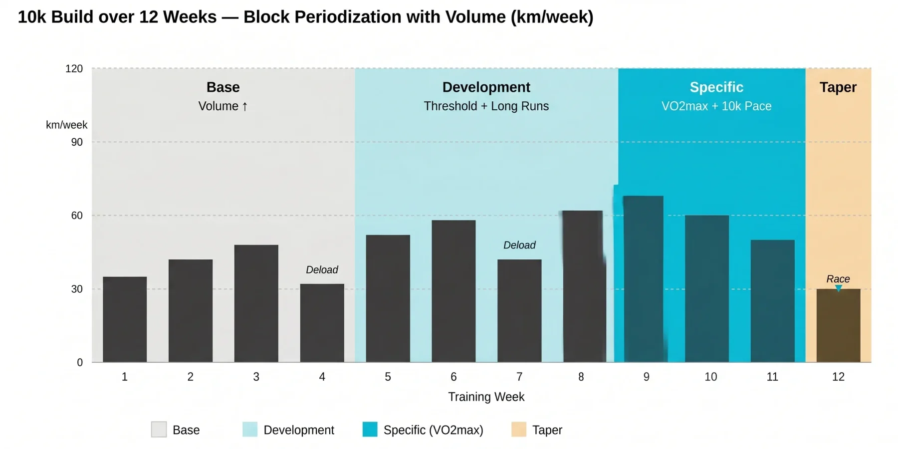 Bar chart of the 10k periodization over 12 weeks with two deload weeks and a taper
