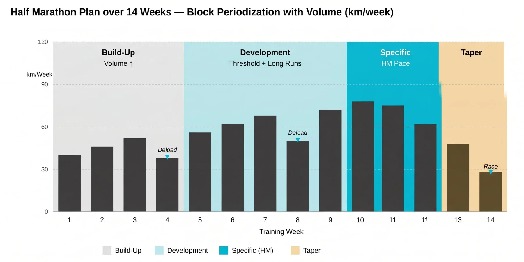 Line chart of the half marathon periodization over 14 weeks with weekly volume and long-run progression