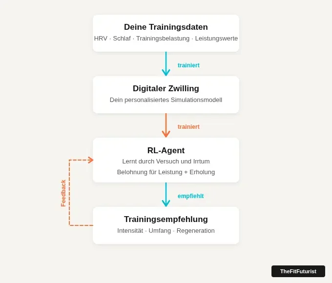Infografik: Wie ein digitaler Zwilling im Reinforcement Learning für Trainingssteuerung funktioniert — von Athletendaten über Simulationsmodell und RL-Agent zur Trainingsempfehlung