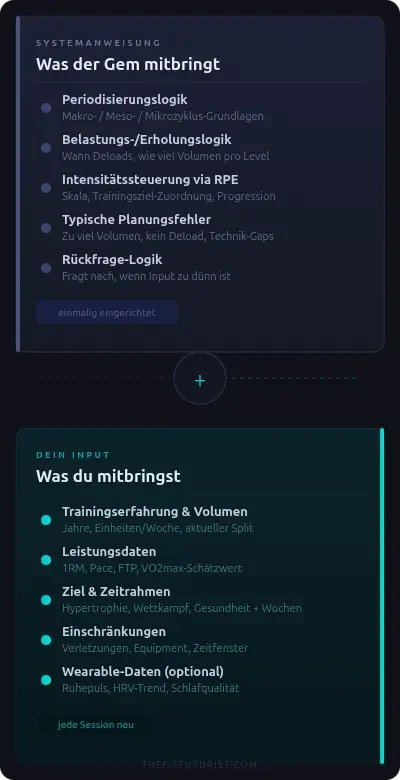 Infografik: Was der TheFitFuturist Gemini Gem als Systemanweisung mitbringt vs. welche Daten du als Nutzer eingibst