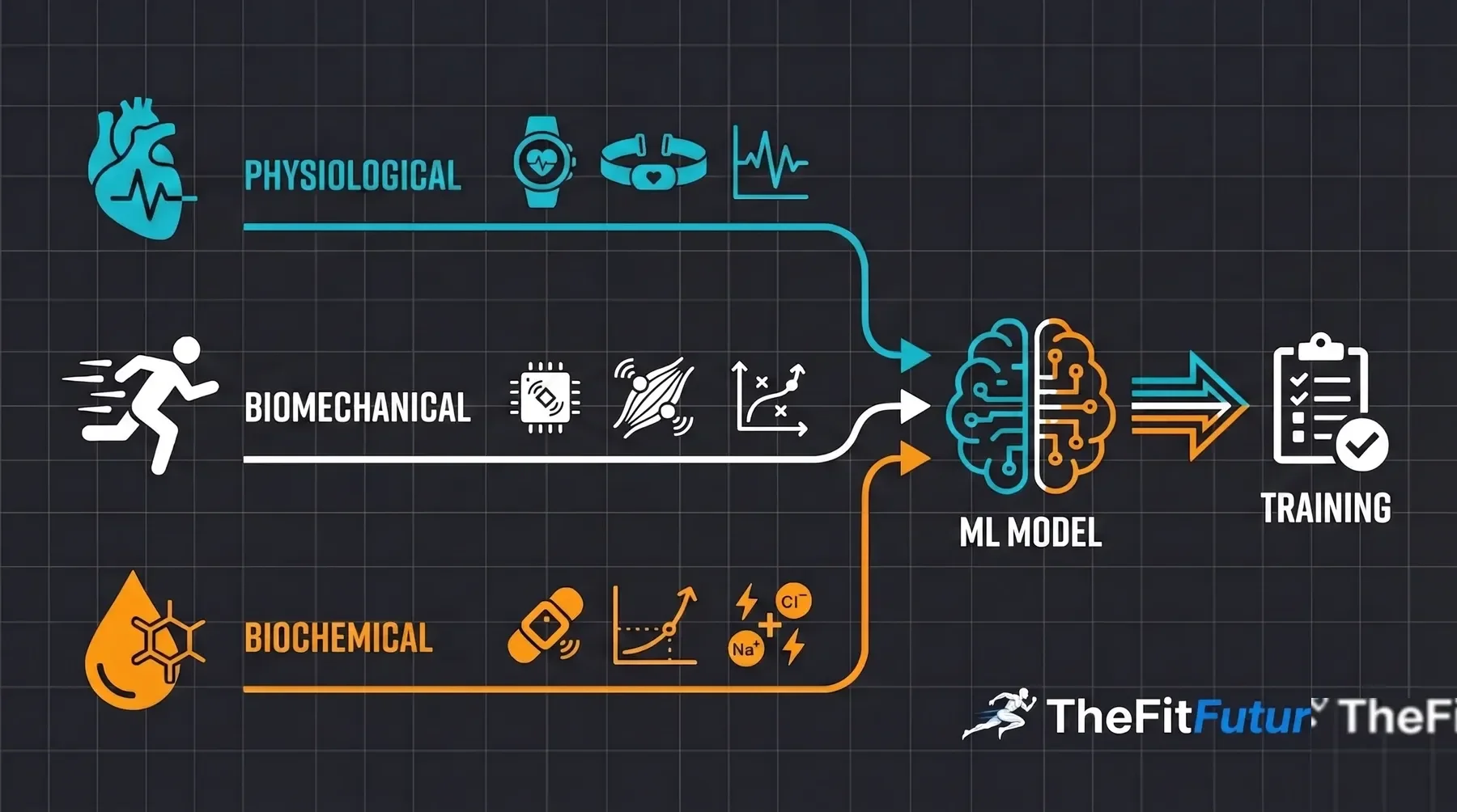 Infographic: three sensor layers of wearables – physiological, biomechanical, biochemical – feeding into an ML model that generates training recommendations