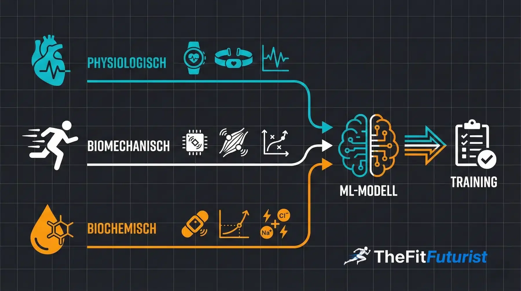 Infografik: Drei Sensorebenen von Wearables – physiologisch, biomechanisch, biochemisch – fließen in ein ML-Modell das Trainingsempfehlungen generiert